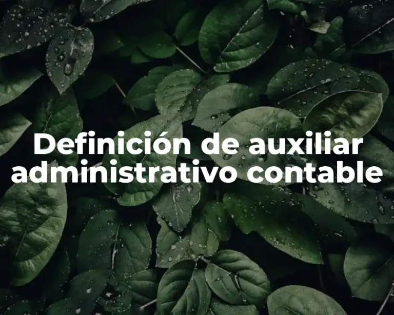Definición de auxiliar administrativo contable
