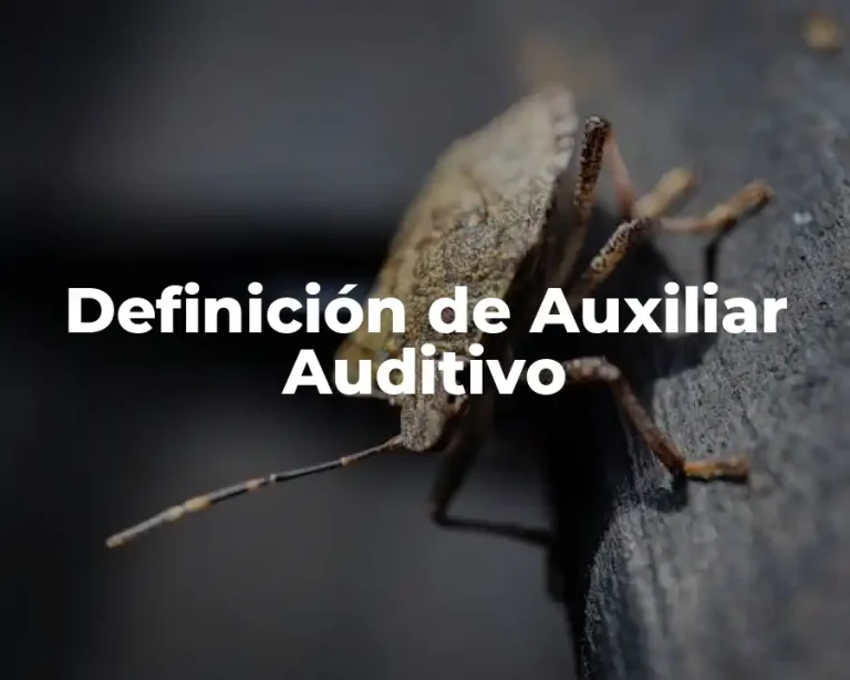 Definición de Auxiliar Auditivo