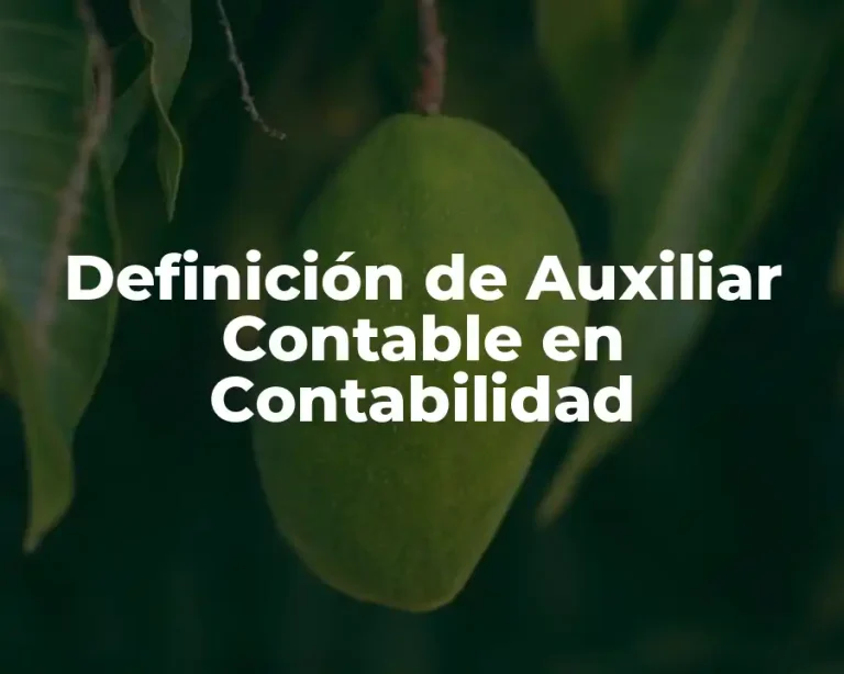 Definición de Auxiliar Contable en Contabilidad