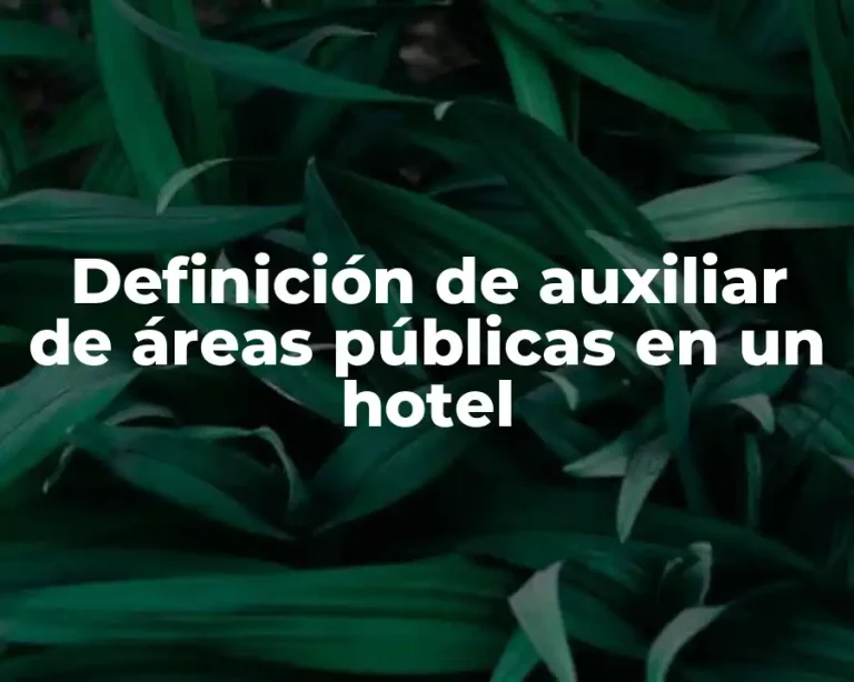 Definición de auxiliar de áreas públicas en un hotel