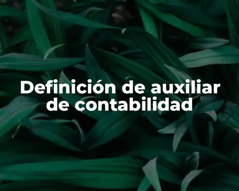 Definición de auxiliar de contabilidad
