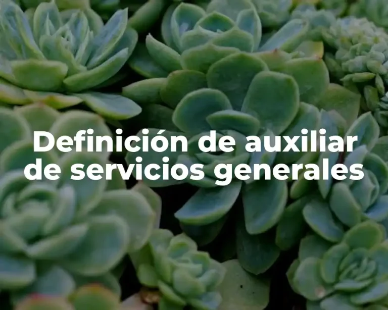 Definición de auxiliar de servicios generales