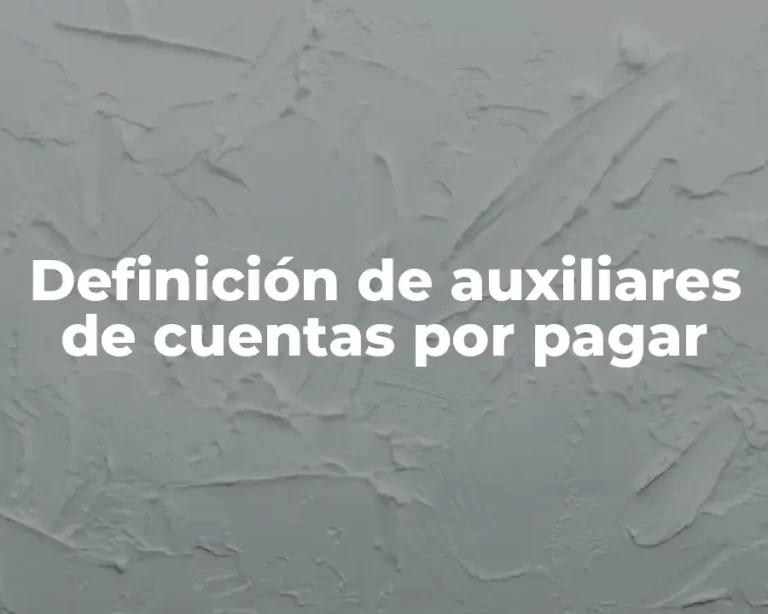 Definición de auxiliares de cuentas por pagar