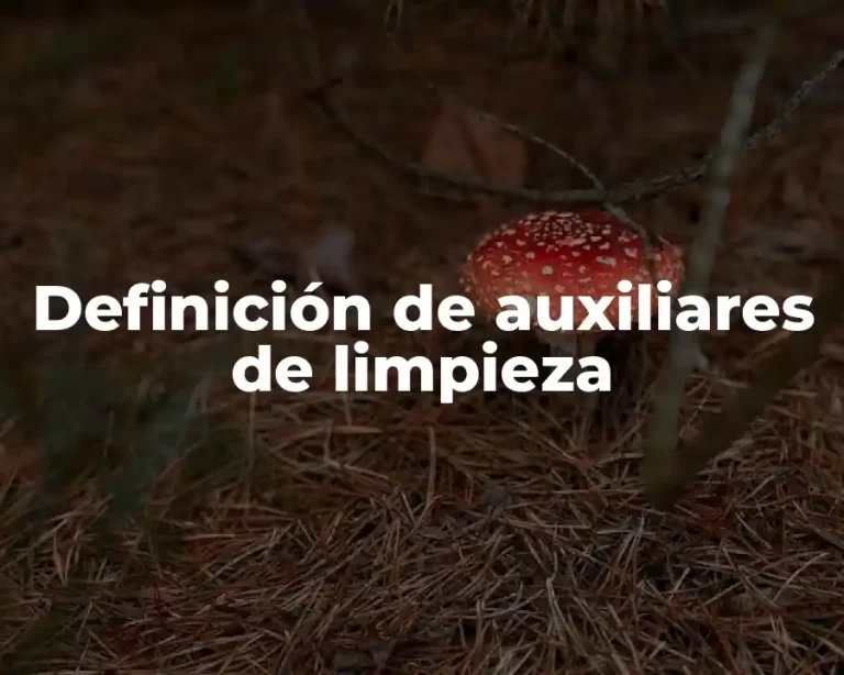 Definición de auxiliares de limpieza