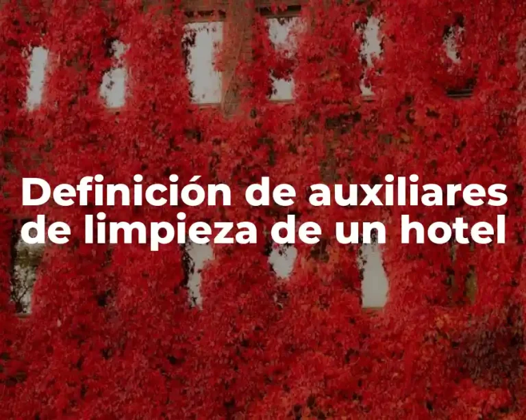 Definición de auxiliares de limpieza de un hotel