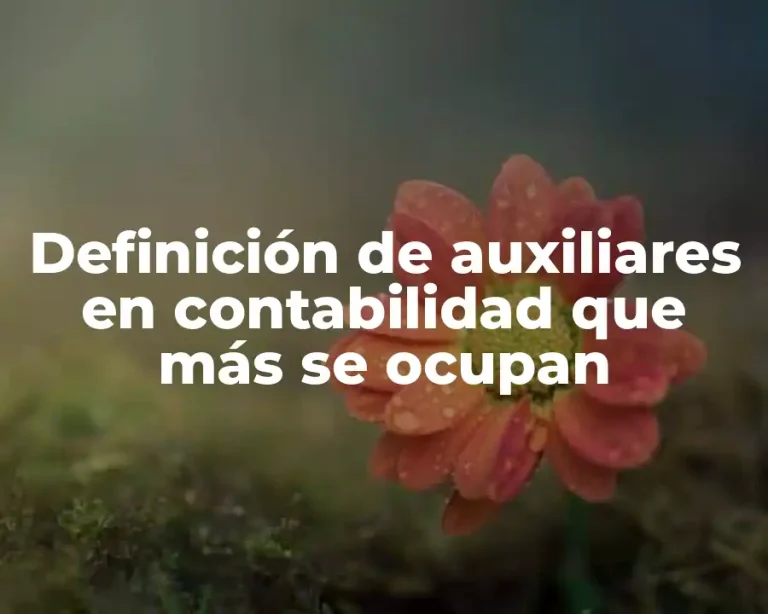 Definición de auxiliares en contabilidad que más se ocupan