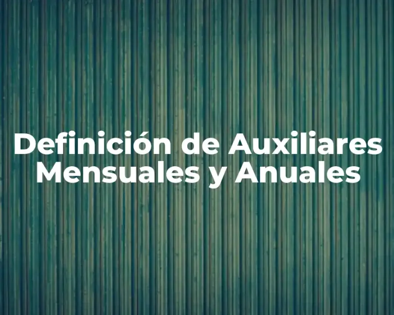 Definición de Auxiliares Mensuales y Anuales