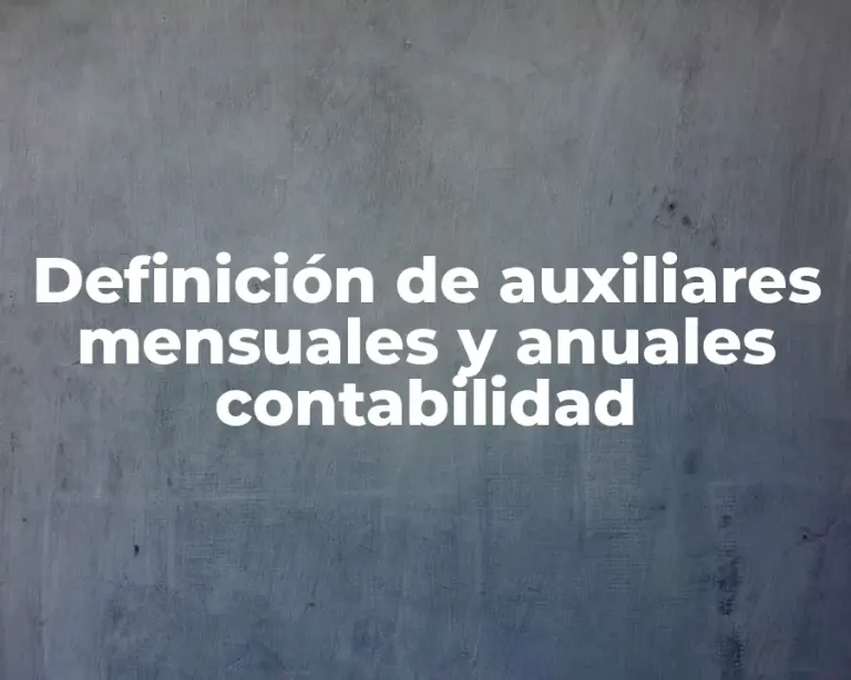 Definición de auxiliares mensuales y anuales contabilidad