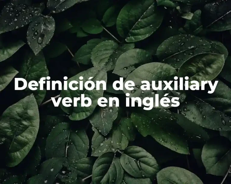 Definición de auxiliary verb en inglés