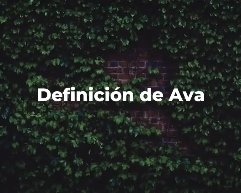 Definición de Ava