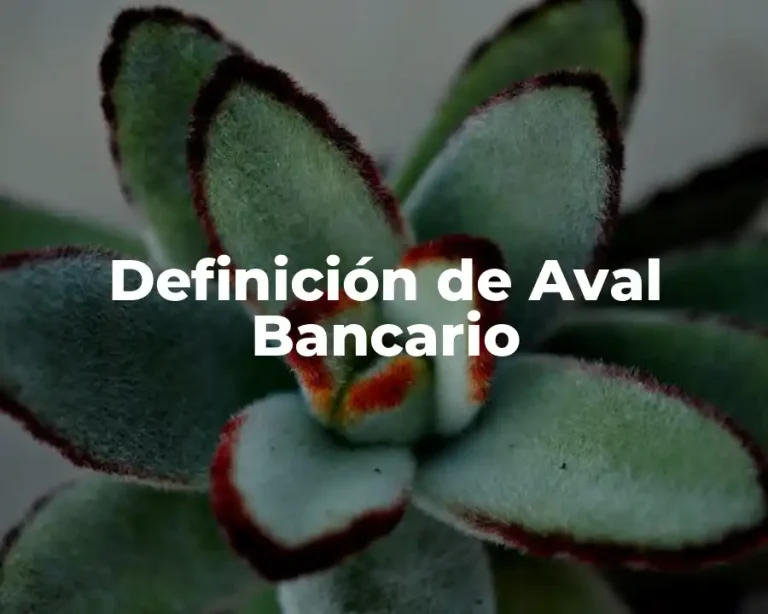Definición de Aval Bancario