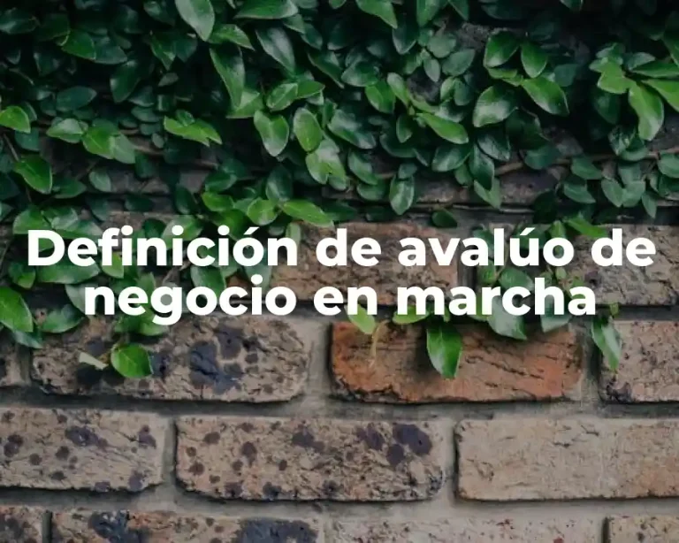 Definición de avalúo de negocio en marcha