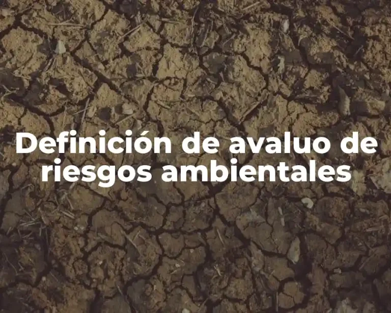 Definición de avaluo de riesgos ambientales