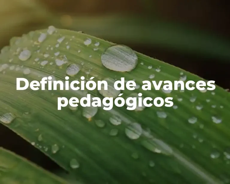 Definición de avances pedagógicos