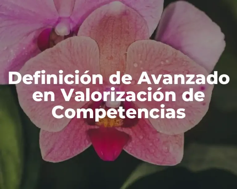Definición de Avanzado en Valorización de Competencias