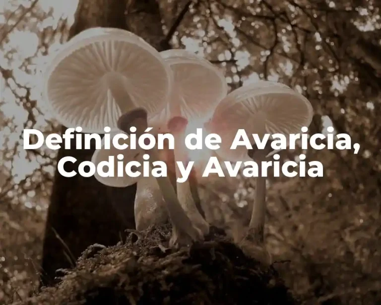 Definición de Avaricia, Codicia y Avaricia