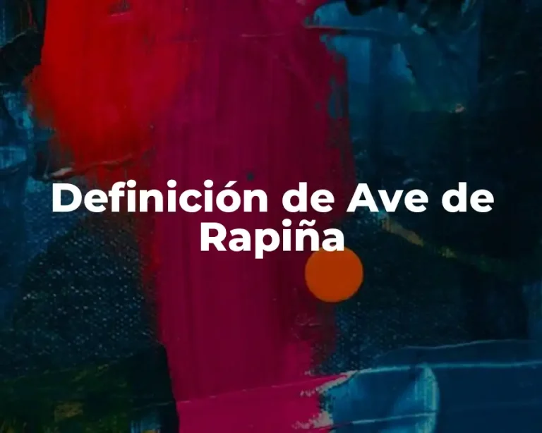 Definición de Ave de Rapiña