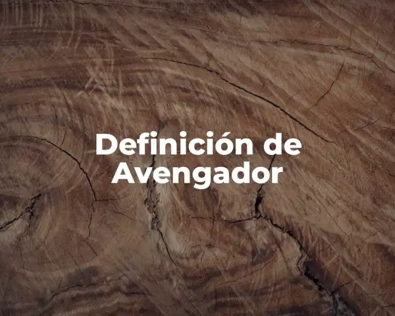 Definición de Avengador