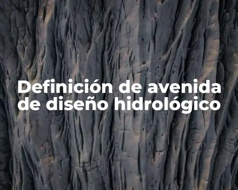 Definición de avenida de diseño hidrológico
