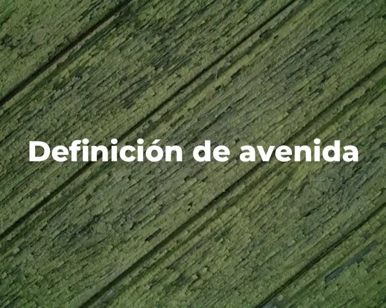 Definición de avenida