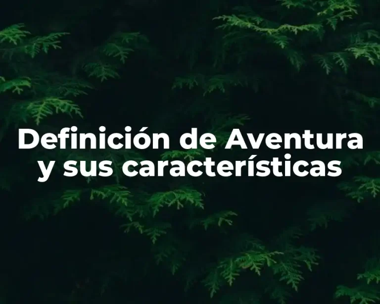 Definición de Aventura y sus características