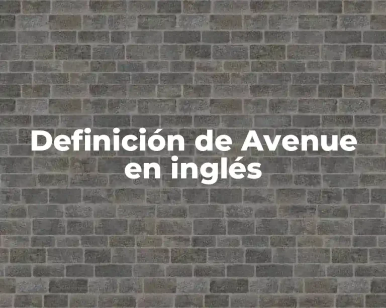 Definición de Avenue en inglés