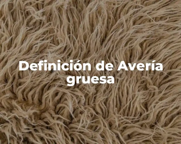 Definición de Avería gruesa