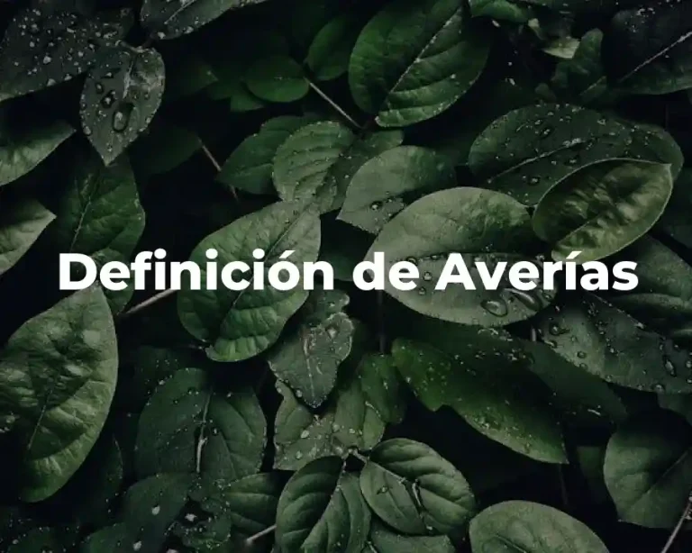 Definición de Averías
