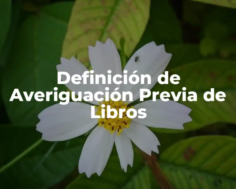 Definición de Averiguación Previa de Libros