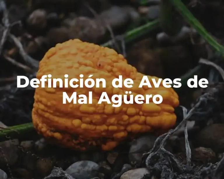 Definición de Aves de Mal Agüero