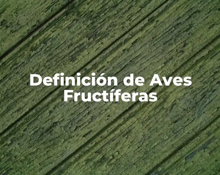 Definición de Aves Fructíferas
