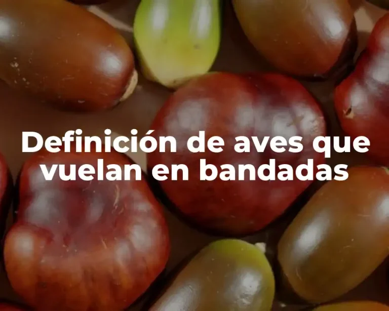 Definición de aves que vuelan en bandadas