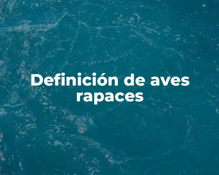 Definición de aves rapaces