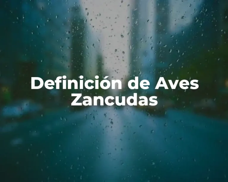 Definición de Aves Zancudas