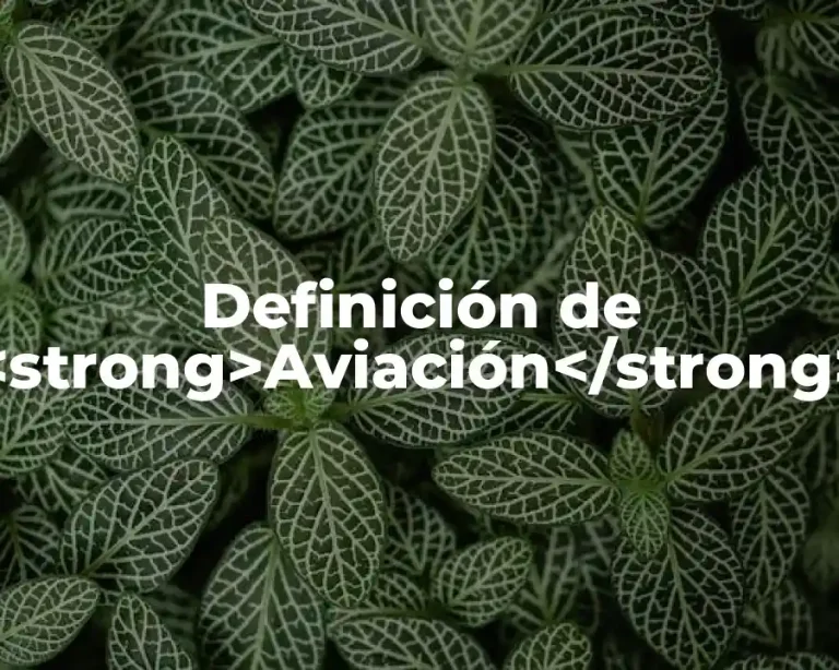 Definición de <strong>Aviación</strong>