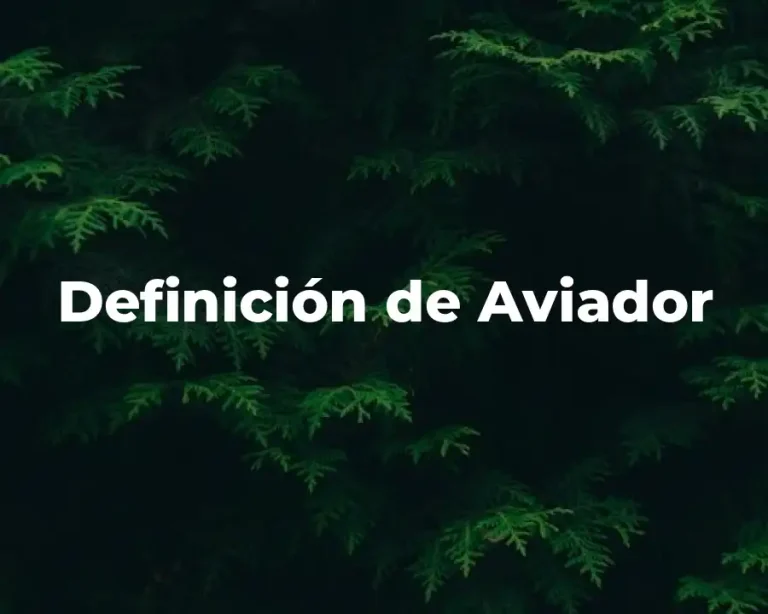 Definición de Aviador
