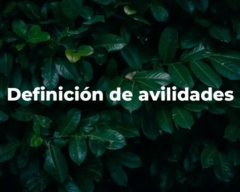 Definición de avilidades