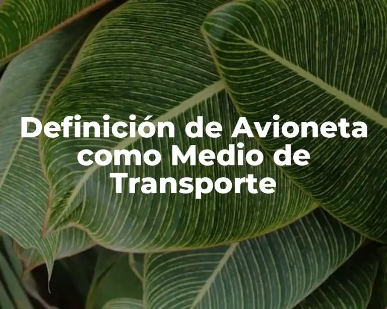 Definición de Avioneta como Medio de Transporte