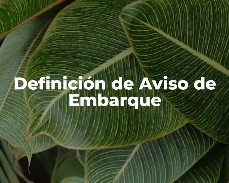 Definición de Aviso de Embarque