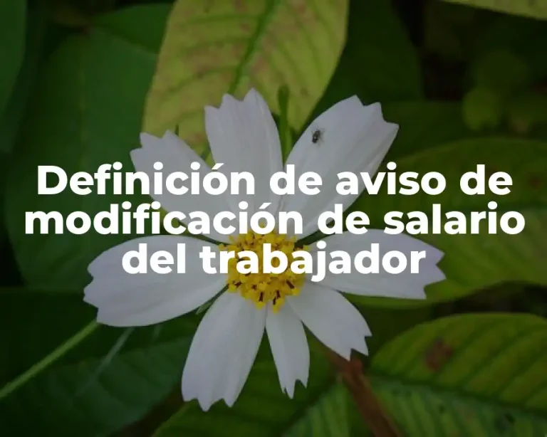 Definición de aviso de modificación de salario del trabajador