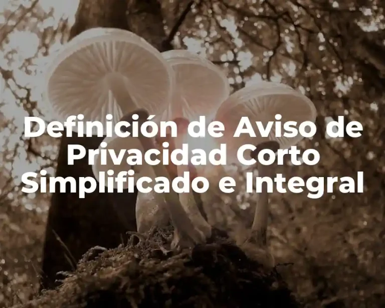 Definición de Aviso de Privacidad Corto Simplificado e Integral