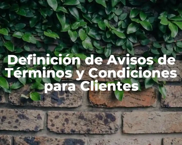 Definición de Avisos de Términos y Condiciones para Clientes