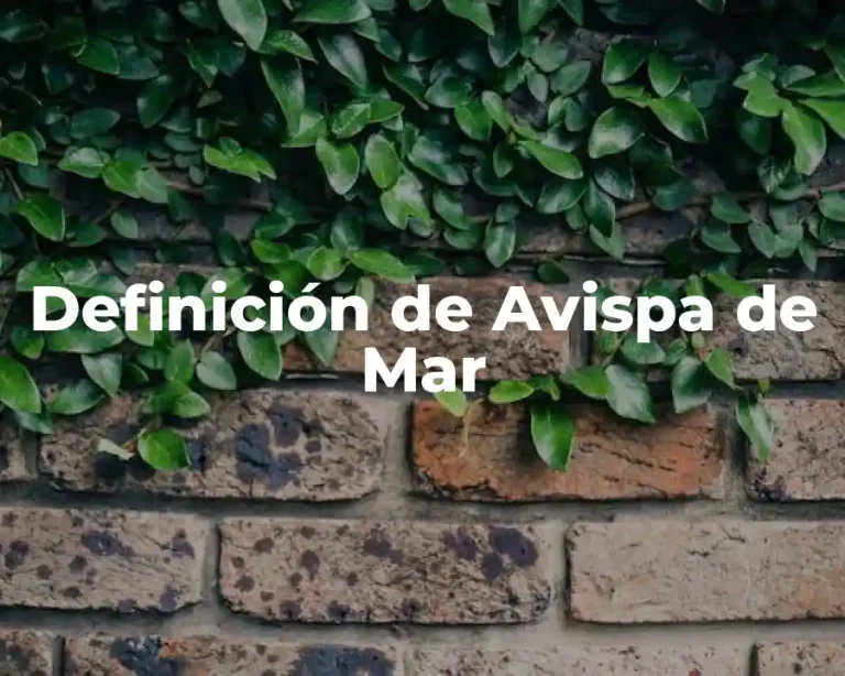 Definición de Avispa de Mar