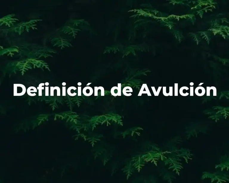 Definición de Avulción