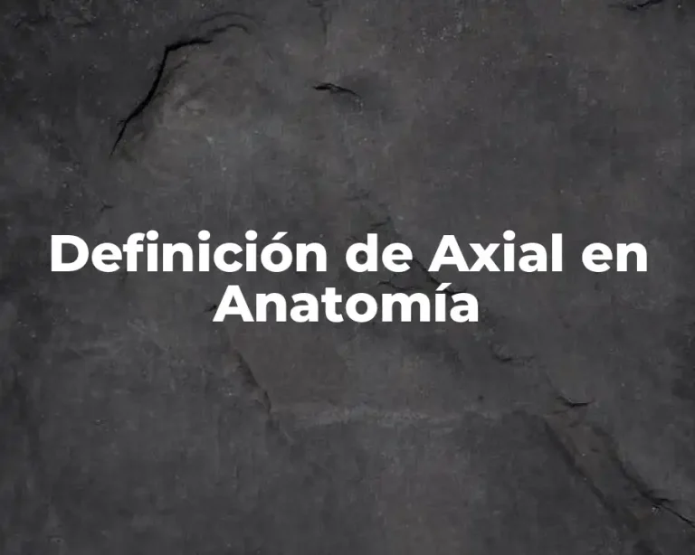 Definición de Axial en Anatomía