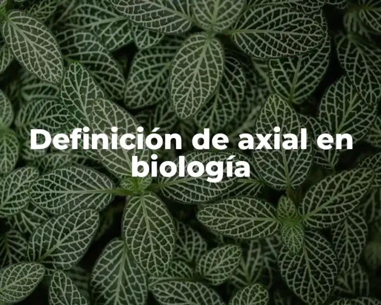 Definición de axial en biología