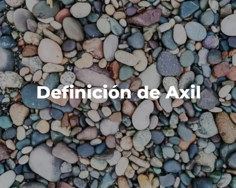 Definición de Axil