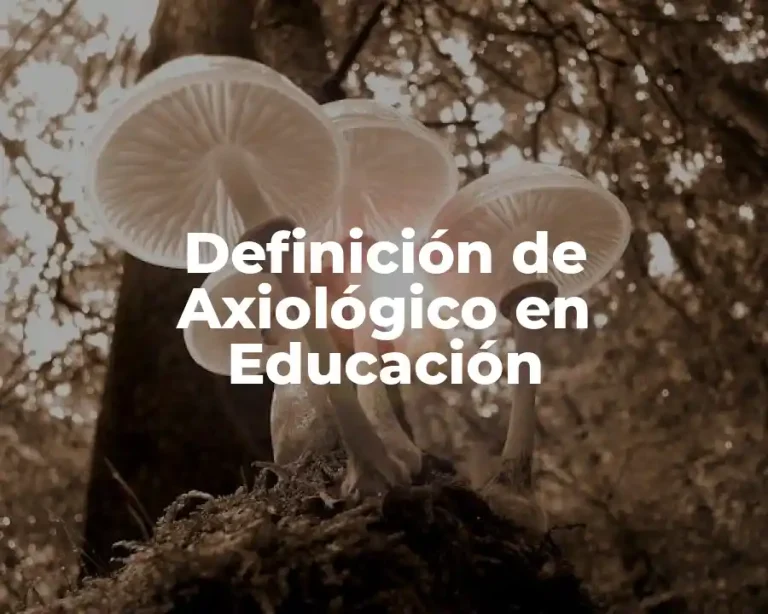 Definición de Axiológico en Educación