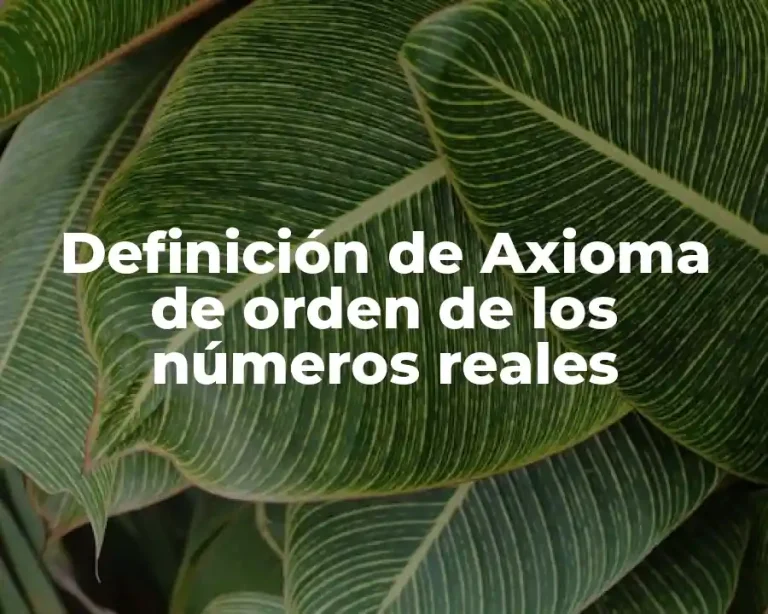 Definición de Axioma de orden de los números reales