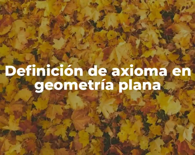 Definición de axioma en geometría plana